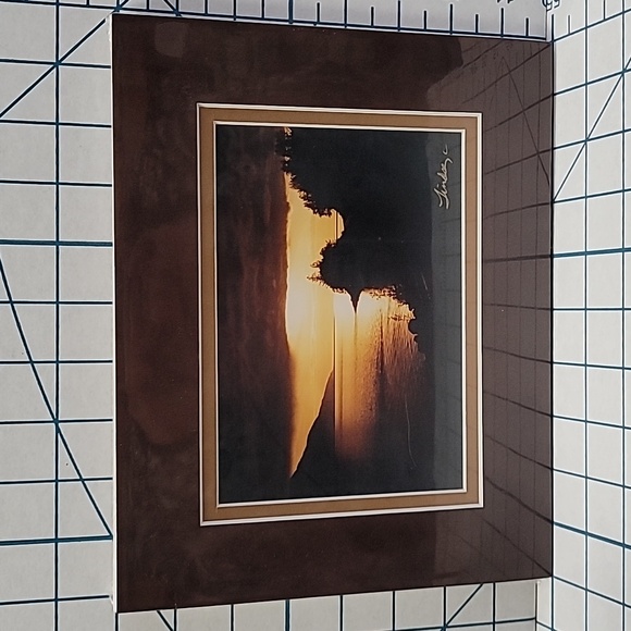 Alaskan Wildlife Matted Photo - Turnagain Arm - Picture 2 of 4